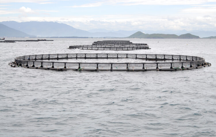 aquaculture